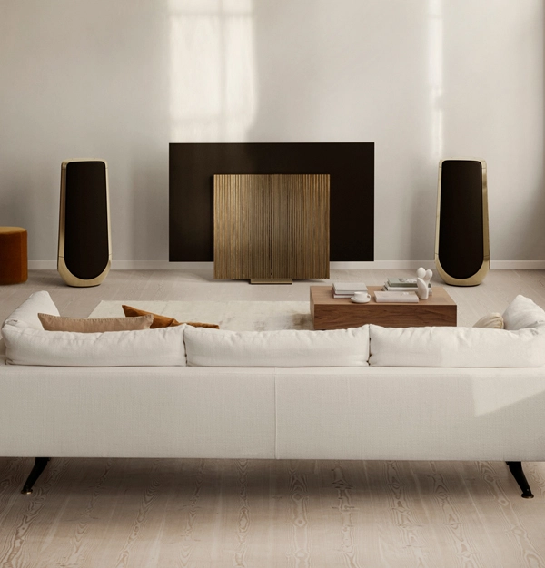 تلویزیون Beovision Harmony