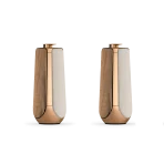 اسپیکر ایستاده Beolab 50