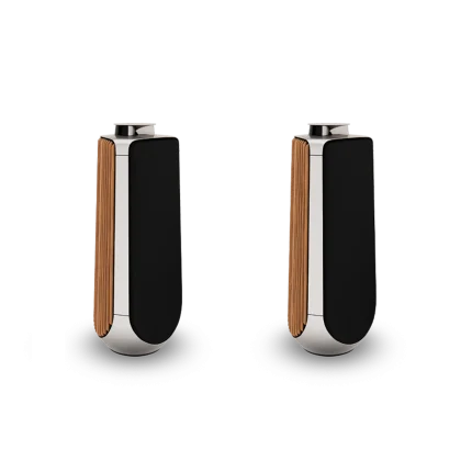 اسپیکر ایستاده Beolab 50