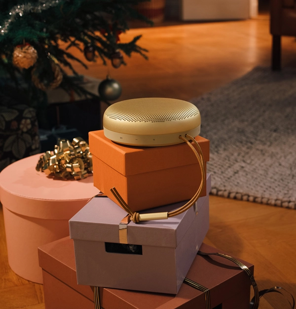 اسپیکر بلوتوثی همراه  Beosound A1
